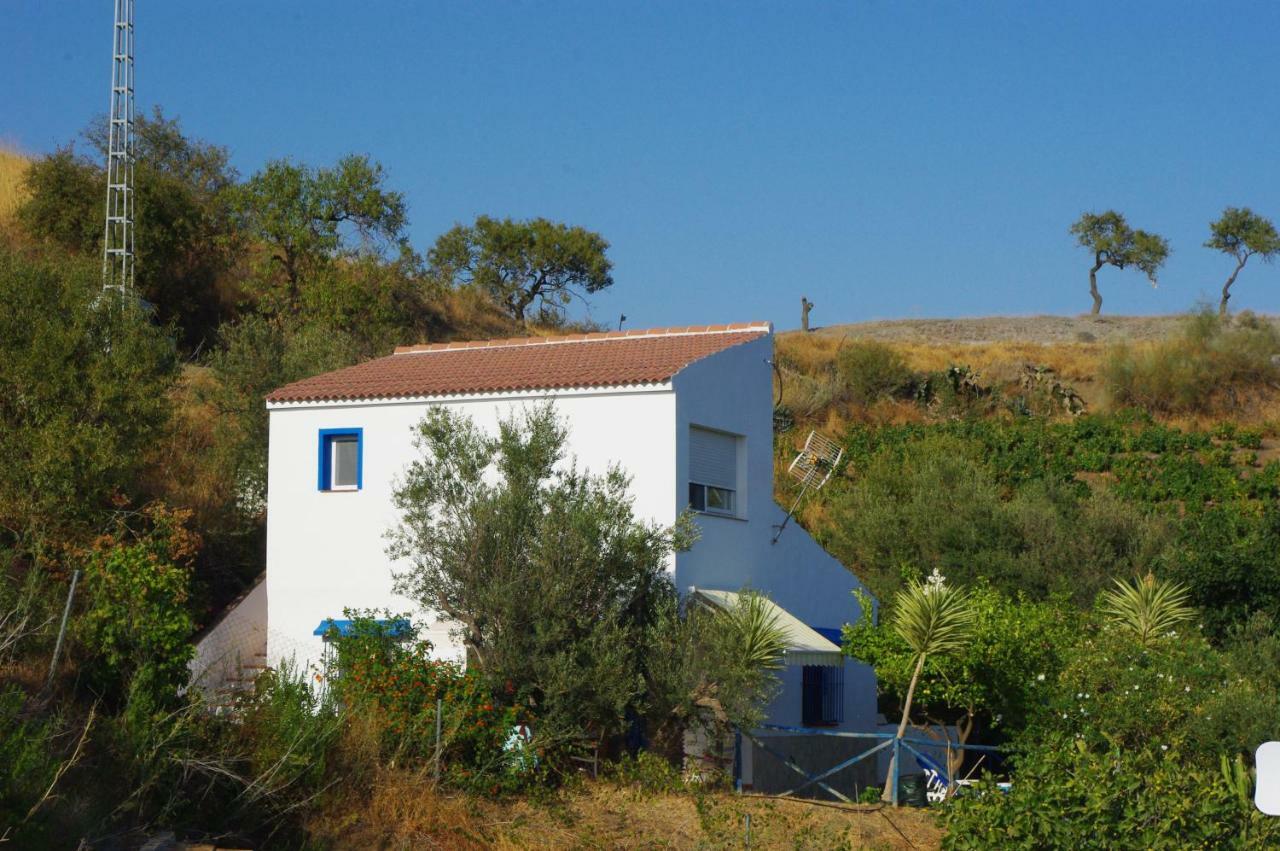 Casa Feliz Villa Iznate Bagian luar foto